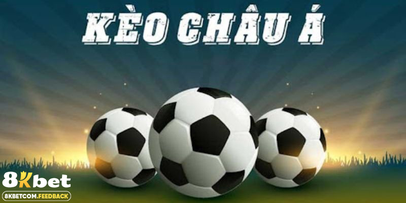 Ảnh đại diện châu á 8kbet